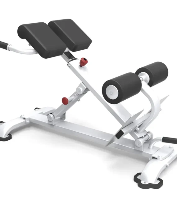 Roman chair mf gym 17652 ks   hyperextensions bench fitness machine