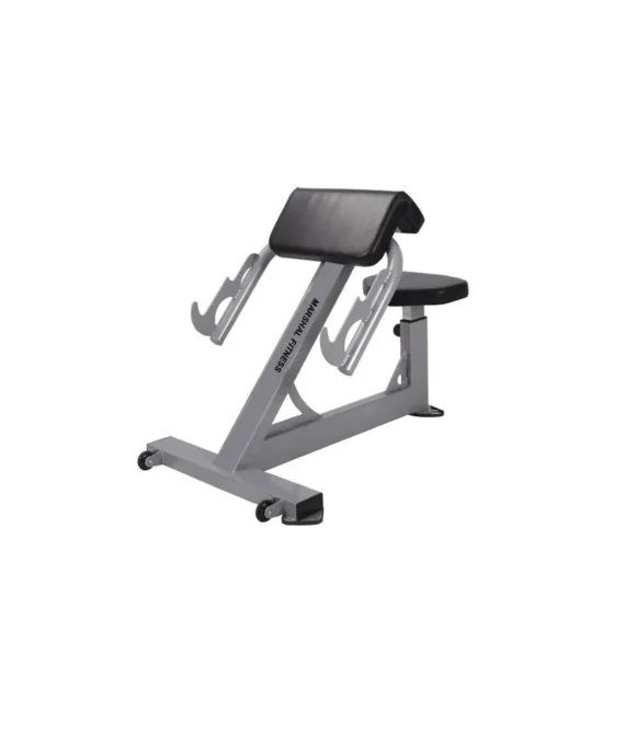 Biceps commercial bench   mf gym 17680 sh 1