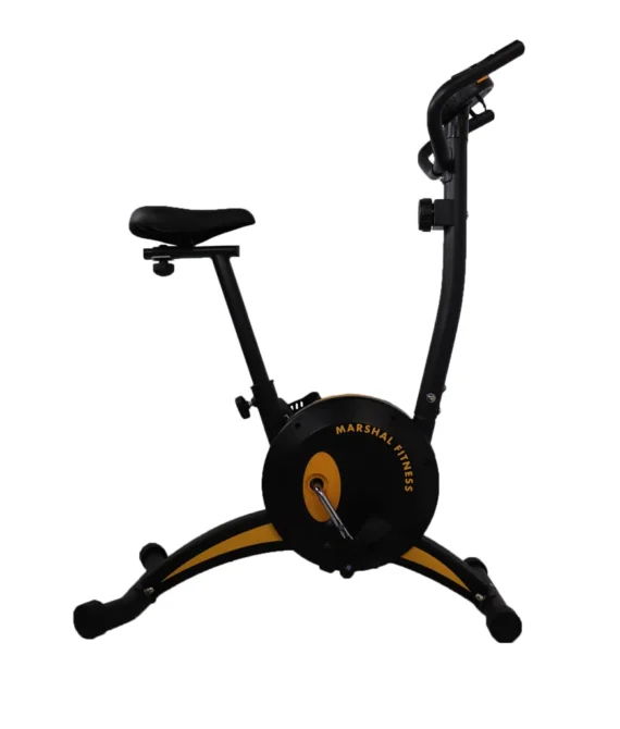 Magnetic resistance exercise bike